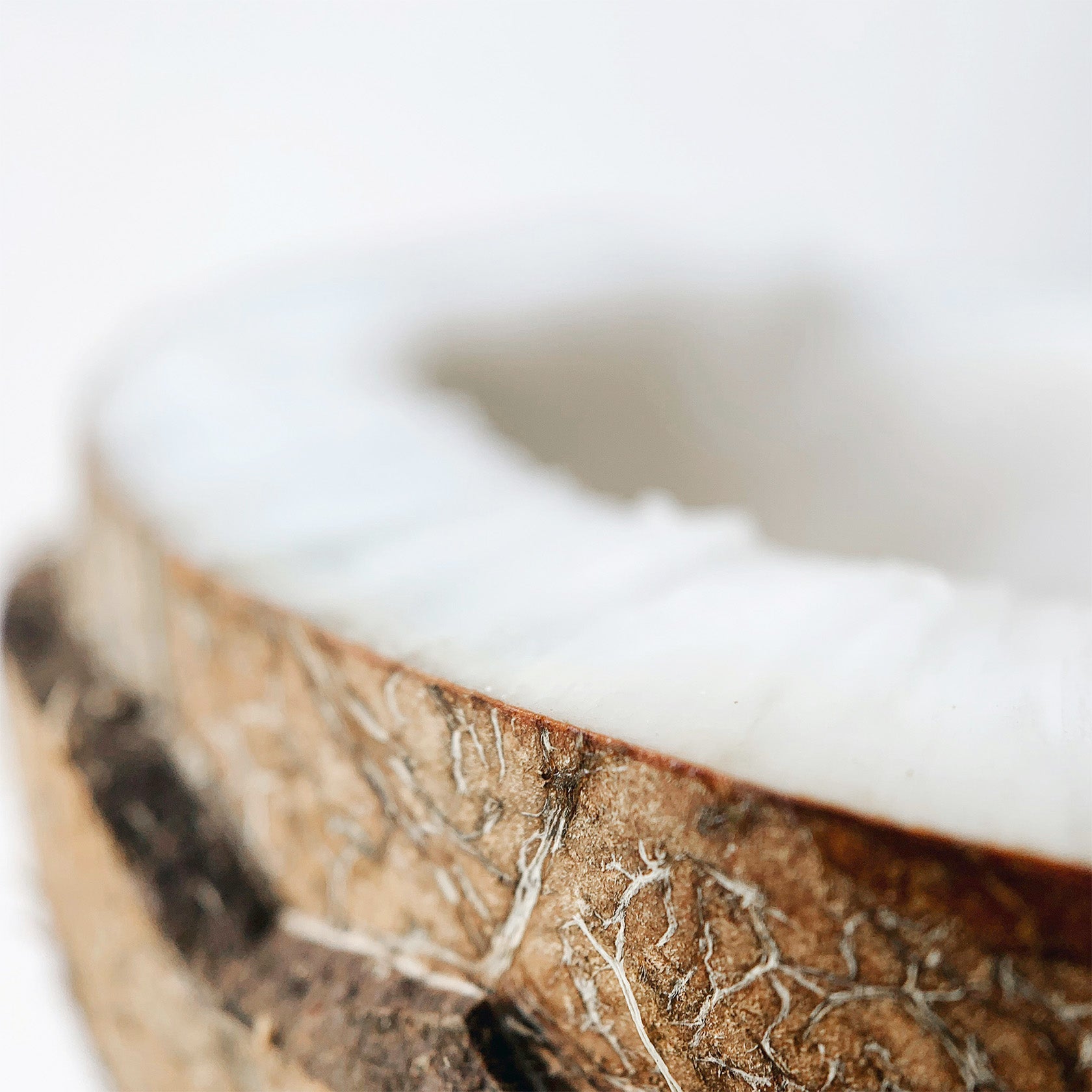 Close-up of a coconut with a white background